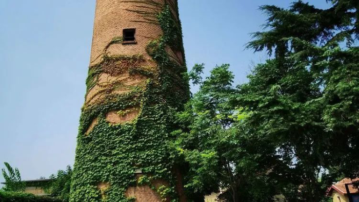 圖片10.png 圖片10.png